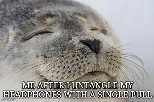 pure satisfaction | ME AFTER I UNTANGLE MY HEADPHONES WITH A SINGLE PULL | image tagged in memes,satisfied seal,funny,low effort | made w/ Imgflip meme maker