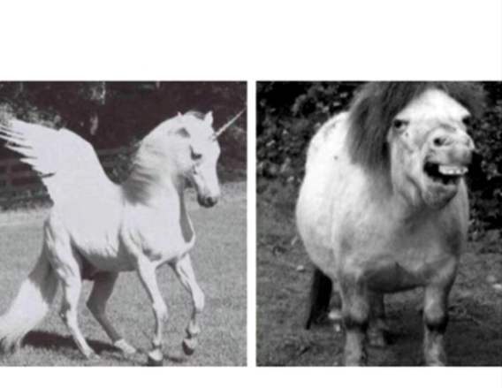 Beautiful Unicorn and Ugly Horse Blank Meme Template