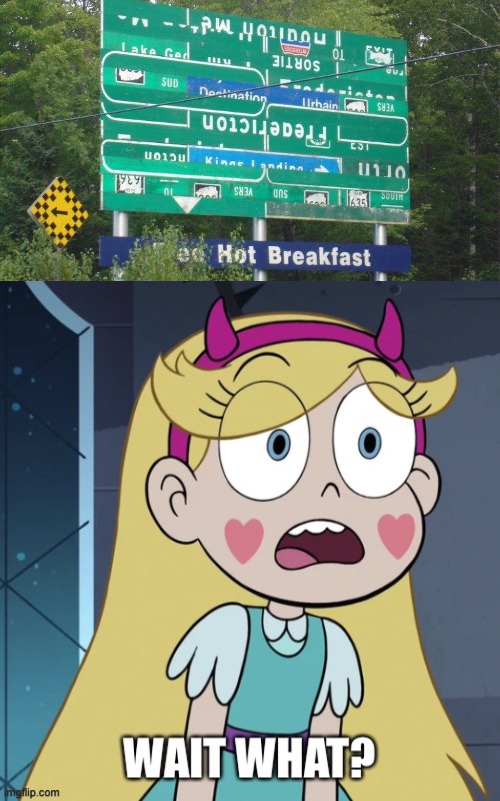 image tagged in star butterfly wait what,confusing,memes,star vs the forces of evil,you had one job,failure | made w/ Imgflip meme maker