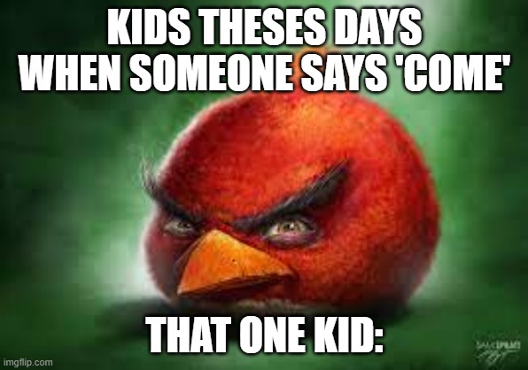 Realistic Red Angry Birds | KIDS THESES DAYS WHEN SOMEONE SAYS 'COME'; THAT ONE KID: | image tagged in realistic red angry birds,sus,funny memes | made w/ Imgflip meme maker