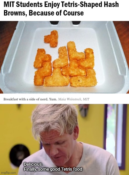 Tetris-shaped hash browns | Delicious; Finally, some good Tetris food | image tagged in finally some good food,tetris,hash browns,memes,food,students | made w/ Imgflip meme maker
