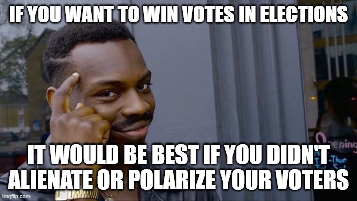 Know Your Target Demographic | IF YOU WANT TO WIN VOTES IN ELECTIONS; IT WOULD BE BEST IF YOU DIDN'T ALIENATE OR POLARIZE YOUR VOTERS | image tagged in memes,roll safe think about it | made w/ Imgflip meme maker