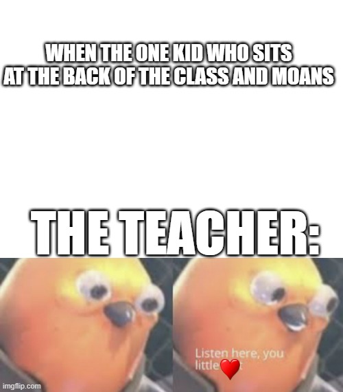 The Class Clown be like. | WHEN THE ONE KID WHO SITS AT THE BACK OF THE CLASS AND MOANS; THE TEACHER: | image tagged in funny memes,listen here you little shit bird | made w/ Imgflip meme maker