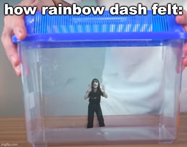 . | how rainbow dash felt: | made w/ Imgflip meme maker