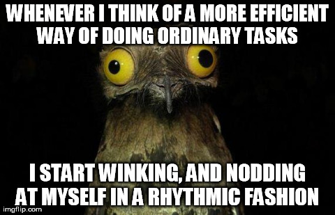 Weird Stuff I Do Potoo Meme | WHENEVER I THINK OF A MORE EFFICIENT WAY OF DOING ORDINARY TASKS  I START WINKING, AND NODDING AT MYSELF IN A RHYTHMIC FASHION | image tagged in memes,weird stuff i do potoo | made w/ Imgflip meme maker