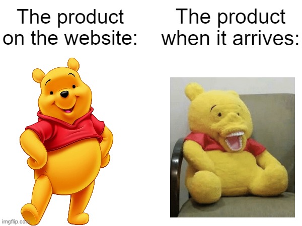 So true. | The product on the website:; The product when it arrives: | image tagged in relatable memes,products,memes,funny,winnie the pooh,so true memes | made w/ Imgflip meme maker