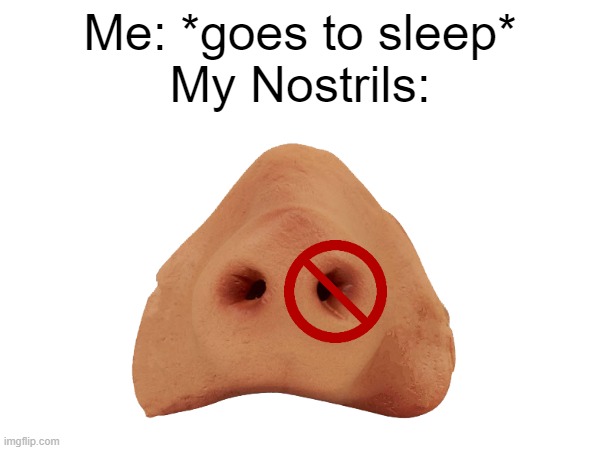 It always happens to me. | Me: *goes to sleep*
My Nostrils: | image tagged in memes,funny,relatable memes,so true memes,sleep,nose | made w/ Imgflip meme maker