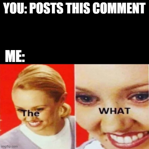 The What | YOU: POSTS THIS COMMENT ME: | image tagged in the what | made w/ Imgflip meme maker