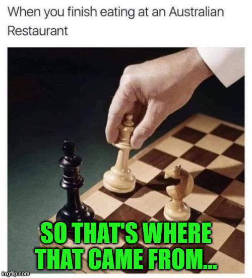 I did not know that... | SO THAT'S WHERE THAT CAME FROM... | image tagged in chess,australia | made w/ Imgflip meme maker