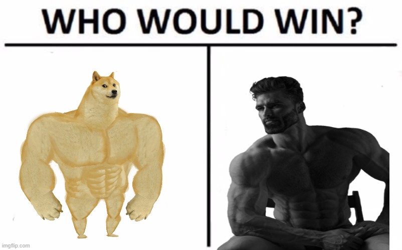 all claims must be supported with evidence | image tagged in memes,who would win,gigachad,buff doge | made w/ Imgflip meme maker