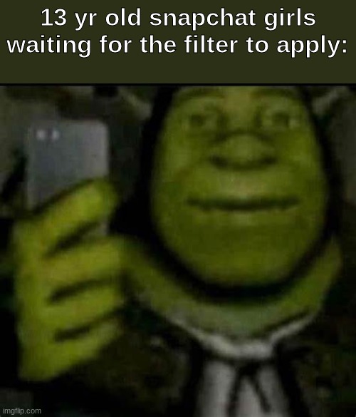 13 yr old snapchat girls waiting for the filter to apply: | made w/ Imgflip meme maker