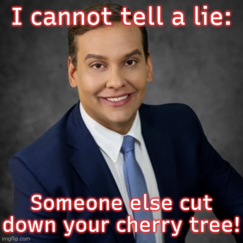 Honest Abe | I cannot tell a lie:; Someone else cut down your cherry tree! | image tagged in i am not,george washington,maury lie detector | made w/ Imgflip meme maker