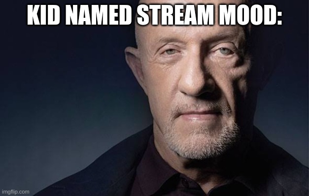 Kid Named | KID NAMED STREAM MOOD: | image tagged in kid named | made w/ Imgflip meme maker