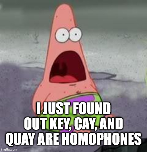 homophone | I JUST FOUND OUT KEY, CAY, AND QUAY ARE HOMOPHONES | image tagged in suprised patrick | made w/ Imgflip meme maker
