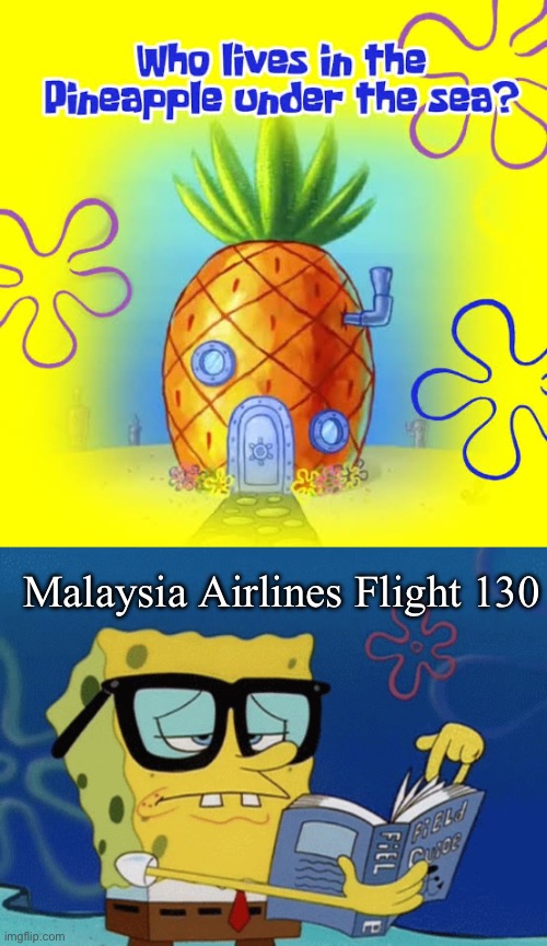 Malaysia Airlines Flight 130 | image tagged in spongebob field guide | made w/ Imgflip meme maker
