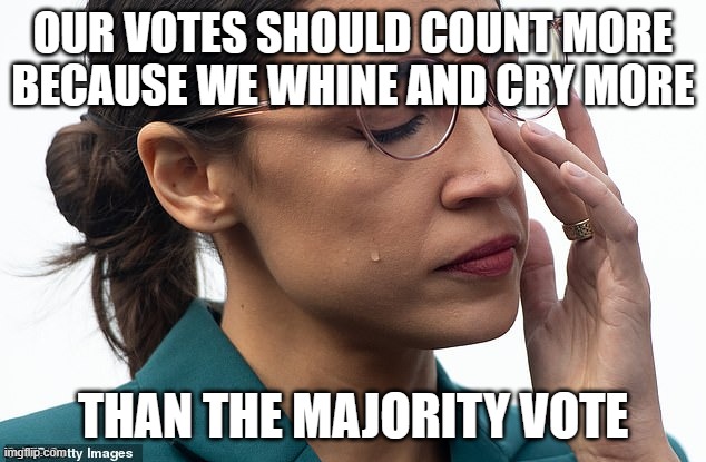 her brain is sweating | OUR VOTES SHOULD COUNT MORE BECAUSE WE WHINE AND CRY MORE THAN THE MAJORITY VOTE | image tagged in her brain is sweating | made w/ Imgflip meme maker