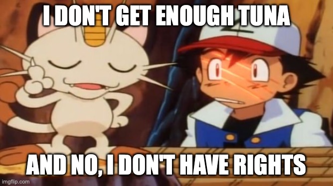 Meowth doesn't have rights and would need rights in our upcoming Deepen Diversity bill | I DON'T GET ENOUGH TUNA; AND NO, I DON'T HAVE RIGHTS | image tagged in meowth scratches ash,tuna,animal rights,pokemon rights,meowth,rights | made w/ Imgflip meme maker