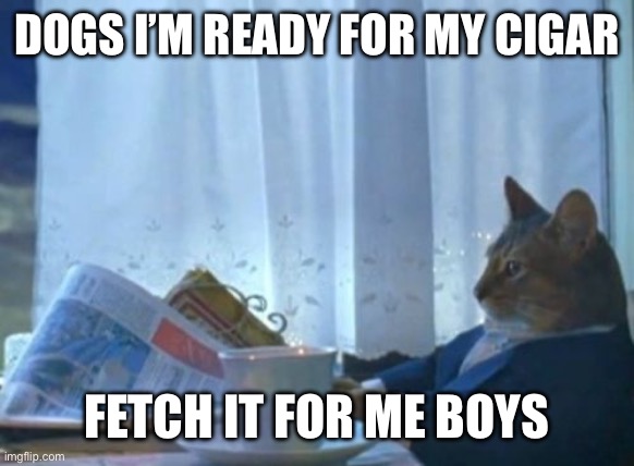 Rich Cat owns Dogs | DOGS I’M READY FOR MY CIGAR; FETCH IT FOR ME BOYS | image tagged in memes,cats and dogs,rich,cats | made w/ Imgflip meme maker