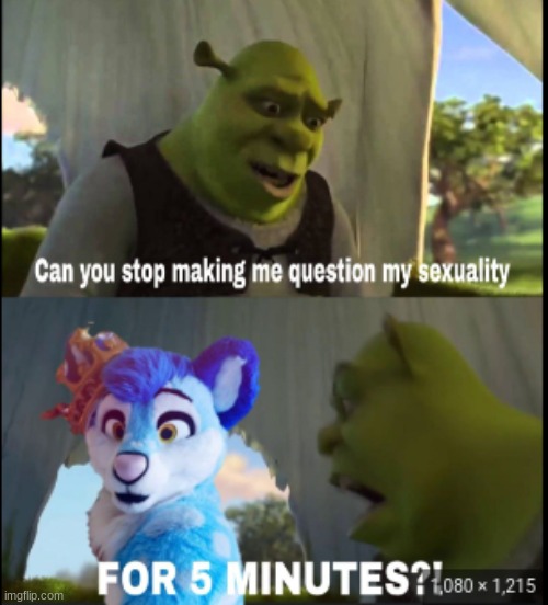 I- (meme is by not a furry on twitter) | image tagged in furry,the furry fandom,fluke husky,memes,lol so funny,gay | made w/ Imgflip meme maker