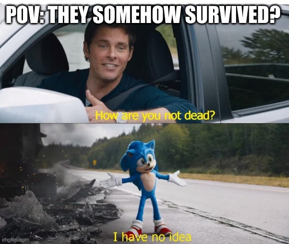 sonic how are you not dead | POV: THEY SOMEHOW SURVIVED? | image tagged in sonic how are you not dead | made w/ Imgflip meme maker