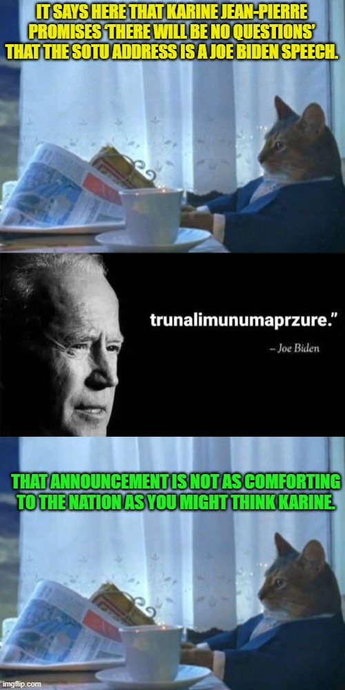 People with working brain cells are not comforted at all. | IT SAYS HERE THAT KARINE JEAN-PIERRE PROMISES ‘THERE WILL BE NO QUESTIONS’ THAT THE SOTU ADDRESS IS A JOE BIDEN SPEECH. THAT ANNOUNCEMENT IS NOT AS COMFORTING TO THE NATION AS YOU MIGHT THINK KARINE. | image tagged in i should buy a boat cat | made w/ Imgflip meme maker