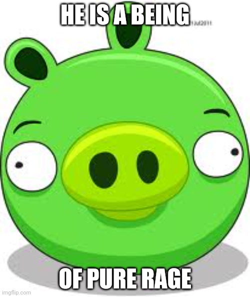 Angry Birds Pig | HE IS A BEING; OF PURE RAGE | image tagged in memes,angry birds pig | made w/ Imgflip meme maker