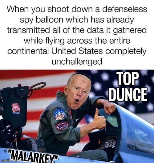 Top Dunce Fighter Pilot Joe | TOP

DUNCE; "MALARKEY" | image tagged in joe biden | made w/ Imgflip meme maker