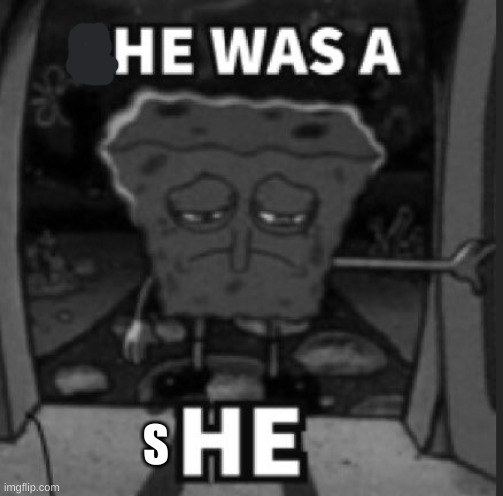 She was a he | S | image tagged in she was a he | made w/ Imgflip meme maker