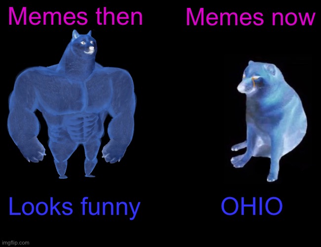 Buff Doge vs. Cheems Meme | Memes then; Memes now; Looks funny; OHIO | image tagged in memes,buff doge vs cheems | made w/ Imgflip meme maker