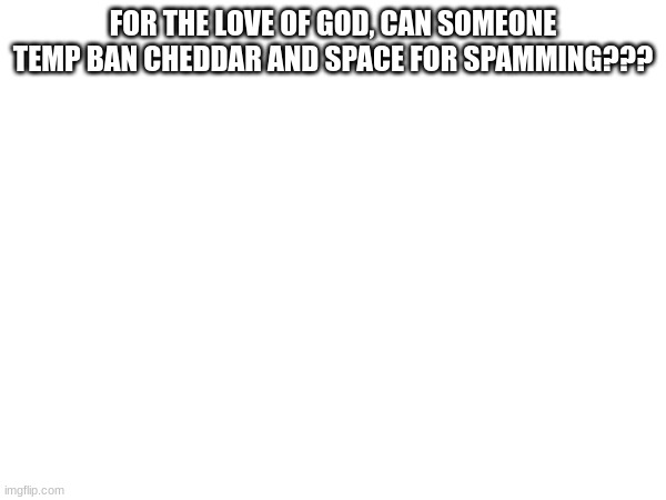 FOR THE LOVE OF GOD, CAN SOMEONE TEMP BAN CHEDDAR AND SPACE FOR SPAMMING??? | made w/ Imgflip meme maker
