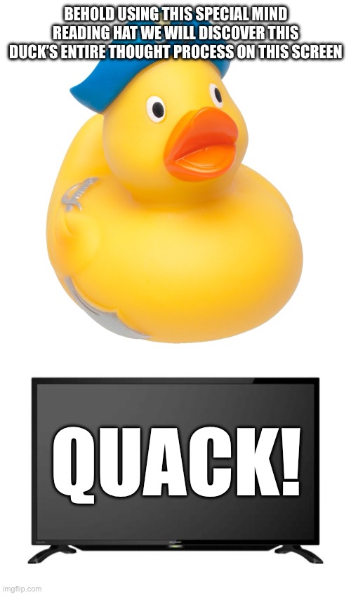 I know what you’re thinking | BEHOLD USING THIS SPECIAL MIND READING HAT WE WILL DISCOVER THIS DUCK’S ENTIRE THOUGHT PROCESS ON THIS SCREEN; QUACK! | image tagged in duck,science | made w/ Imgflip meme maker