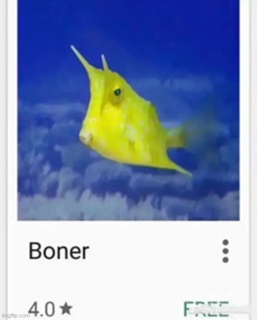 Boner | image tagged in boner | made w/ Imgflip meme maker