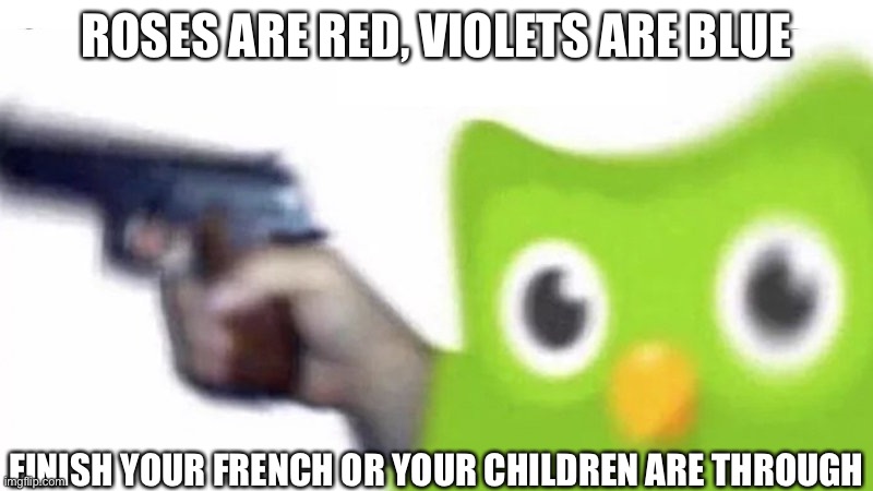 duolingo gun | ROSES ARE RED, VIOLETS ARE BLUE; FINISH YOUR FRENCH OR YOUR CHILDREN ARE THROUGH | image tagged in duolingo gun | made w/ Imgflip meme maker