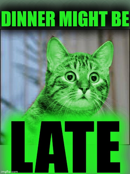 RayCat WTF | DINNER MIGHT BE LATE | image tagged in raycat wtf | made w/ Imgflip meme maker