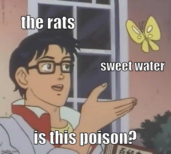 Is This A Pigeon Meme | the rats; sweet water; is this poison? | image tagged in memes,is this a pigeon | made w/ Imgflip meme maker