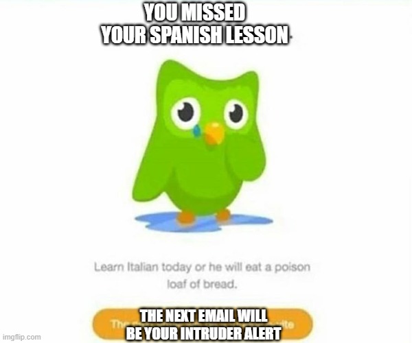 duo is sad... time to oof! | YOU MISSED YOUR SPANISH LESSON; THE NEXT EMAIL WILL BE YOUR INTRUDER ALERT | image tagged in duolingo bird | made w/ Imgflip meme maker