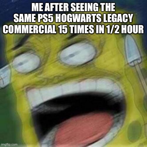 You agree? | ME AFTER SEEING THE SAME PS5 HOGWARTS LEGACY COMMERCIAL 15 TIMES IN 1/2 HOUR | image tagged in reeeeeee | made w/ Imgflip meme maker