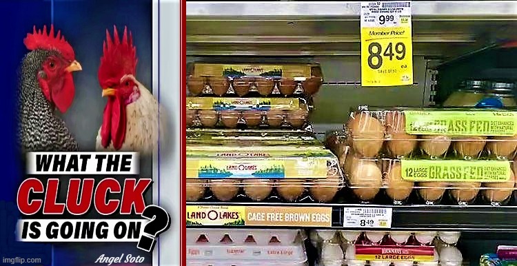 what the cluck is going on with eggs | Angel Soto | image tagged in political meme,eggs,chickens,inflation,what the heck | made w/ Imgflip meme maker