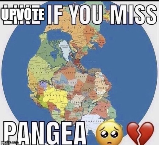 UPVOTE | made w/ Imgflip meme maker