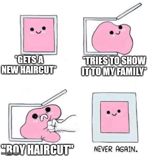 Never again | *GETS A NEW HAIRCUT*; *TRIES TO SHOW IT TO MY FAMILY*; "BOY HAIRCUT" | image tagged in never again | made w/ Imgflip meme maker