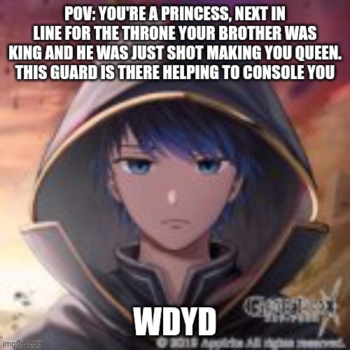 Normal rules apply. This can be romance if you want | POV: YOU'RE A PRINCESS, NEXT IN LINE FOR THE THRONE YOUR BROTHER WAS KING AND HE WAS JUST SHOT MAKING YOU QUEEN. THIS GUARD IS THERE HELPING TO CONSOLE YOU; WDYD | image tagged in roleplaying | made w/ Imgflip meme maker