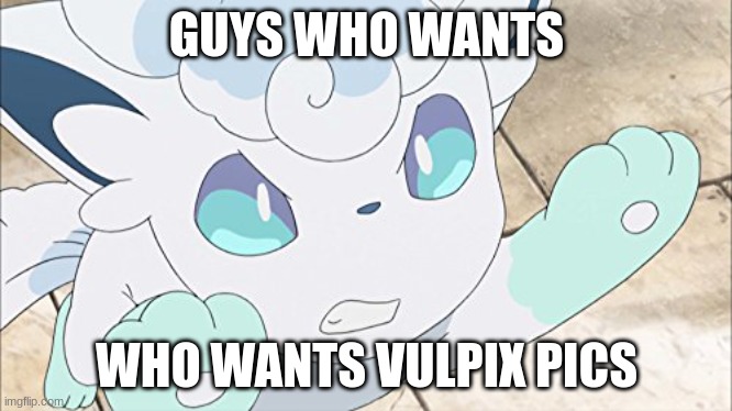 doing pokemon snap irl pics for the next 2 months | GUYS WHO WANTS; WHO WANTS VULPIX PICS | image tagged in alolan vulpix,pokemon sun and moon | made w/ Imgflip meme maker