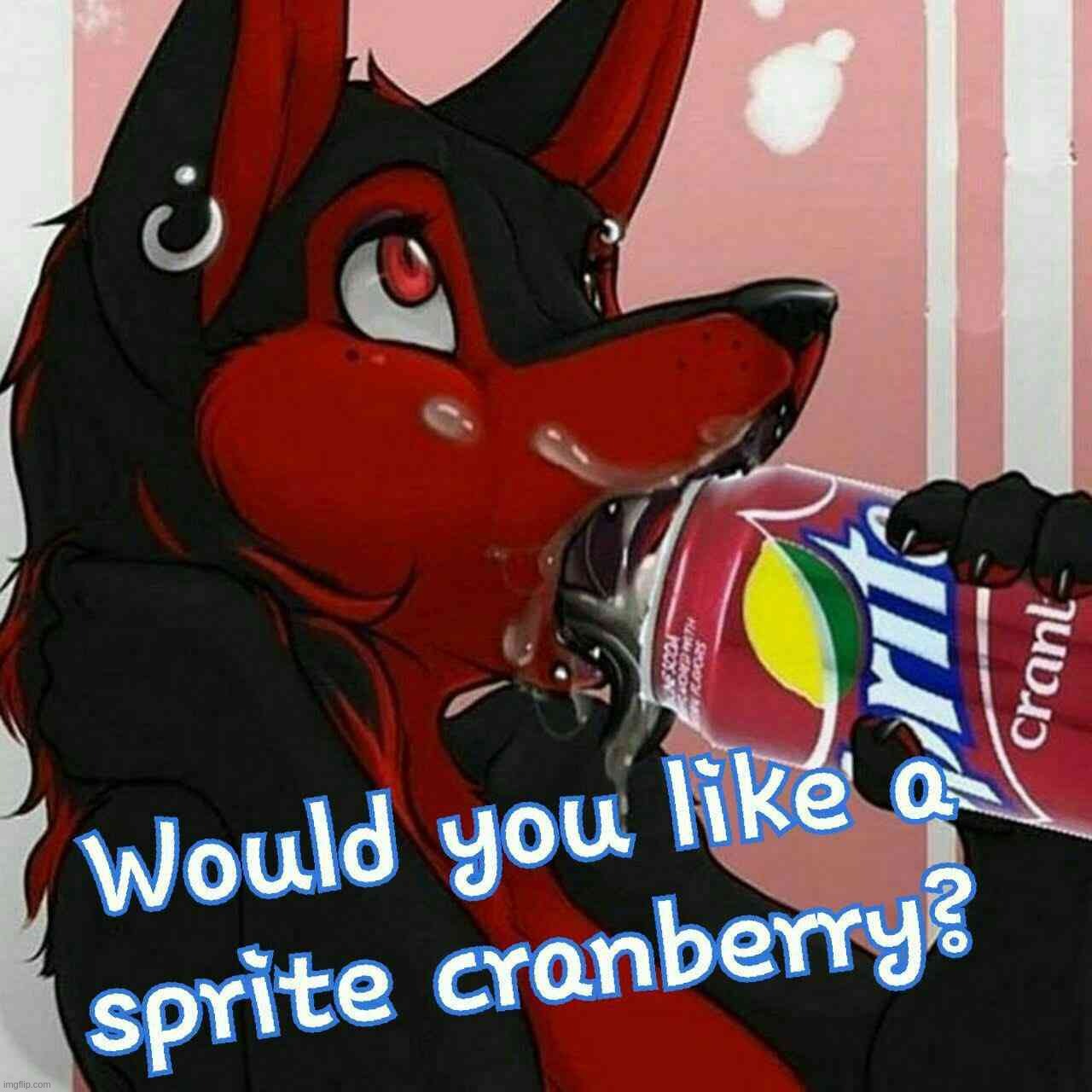 sprite cranberry is a W see? | image tagged in sprite cranberry | made w/ Imgflip meme maker