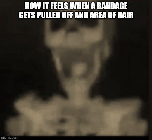 screaming skeleton | HOW IT FEELS WHEN A BANDAGE GETS PULLED OFF AND AREA OF HAIR | image tagged in screaming skeleton | made w/ Imgflip meme maker