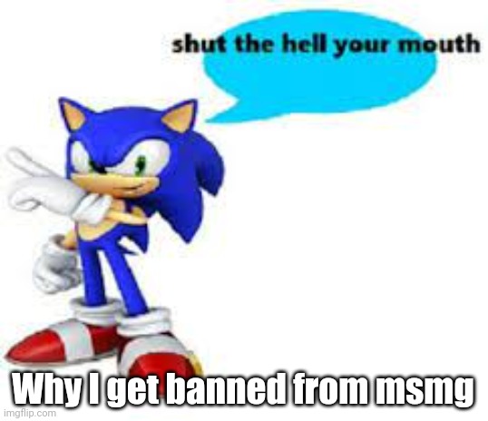 Shut the hell your mouth | Why I get banned from msmg | image tagged in shut the hell your mouth | made w/ Imgflip meme maker