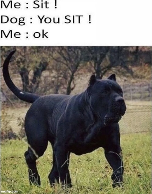 image tagged in repost | made w/ Imgflip meme maker