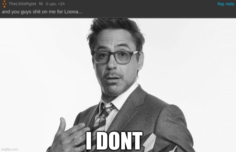 I DONT | image tagged in robert downey jr's comments | made w/ Imgflip meme maker