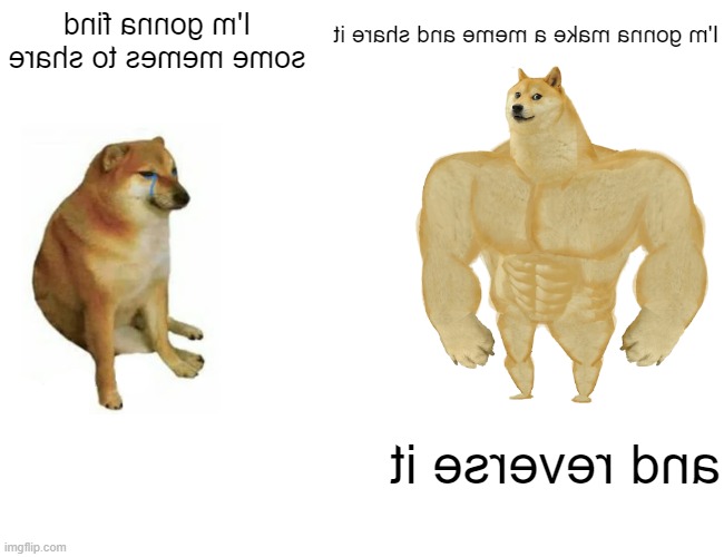 siht od I did yhw | image tagged in swole doge vs cheems flipped | made w/ Imgflip meme maker