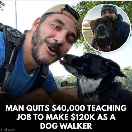 Fun job | image tagged in multi doge,walking,pay | made w/ Imgflip meme maker