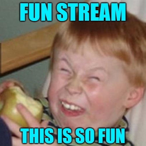 laughing kid | FUN STREAM THIS IS SO FUN | image tagged in laughing kid | made w/ Imgflip meme maker